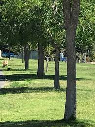 El paso, tx 79922 from business: El Paso City Parks Reopen With Restrictions Kfox