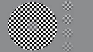 Depends on what you see will be the result do you have a schizophrenia or not. Schizophrenia Test Findings Using Optical Illusions And Its Importance