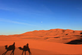 Funny vines brings you the best funny videos from around the internet! Into The Sahara My Camel Hates Me