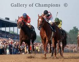 1978 Kentucky Derby Affirmed 815 Gallery Of Champions