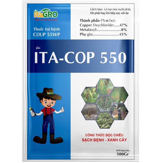 Coup 55WP