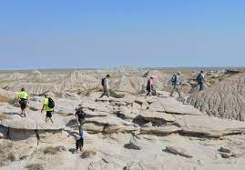 Maybe you would like to learn more about one of these? Nebraska National Forests And Grasslands Toadstool Geological Park And Campground