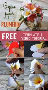 Plumeria Paper Flower Free Template And Tutorial Paper Flowers Diy Paper Bouquet Paper Flowers