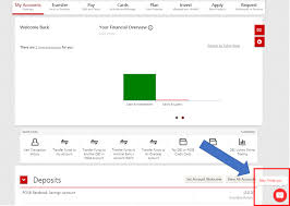 Indian financial system code (ifsc). Dbs Virtual Assistant Now Provides Mccs And Rewards Points Per Transaction The Milelion