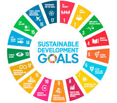 Sustainable Development Goals Repsols Contribution Repsol