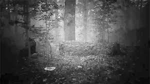 Before you install the haunting blood water curse download you need to know if your pc meets recommended or minimum system requirements storage: The Haunting Early Access Windows Xsx Xone Ps5 Ps4 Game Indie Db