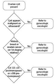 Check spelling or type a new query. Ovarian Cysts