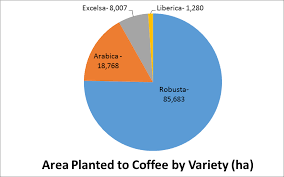 Total and new cases, deaths per day, mortality and recovery rates, current active cases, recoveries, trends and timeline. Https Www Da Gov Ph Wp Content Uploads 2019 06 Philippine Coffee Industry Roadmap 2017 2022 Pdf