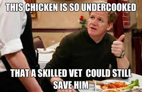 His perfectionist attitude and brash personality on screen have inspired the creation of many image macros and remix videos on youtube. Chef Ramsay Funny Quotes Quotesgram
