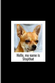 The best memes from instagram, facebook, vine, and twitter about chihuahua meme. Hello My Name Is Stop That Funny Chihuahua Meme Dog Gag Gift Prank For Animal Lovers Medium Ruled Lined Notebook 120 Pages 6x9 Composition Better Me 9781677132522 Amazon Com Books