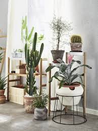 Der Neue Ikea Katalog 2020 Zimmerpflanzen Ikea Ideen Wohnungseinrichtung Deko