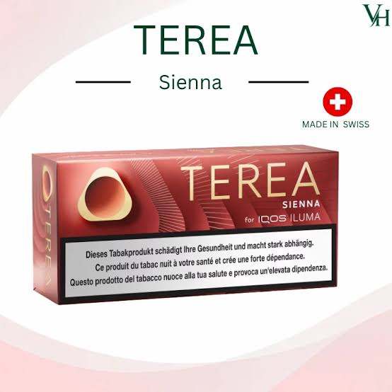 Switching From Cigarettes To IQOS? 5 Best TEREA Flavors To Try