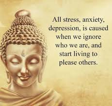 Harold Sheffield (harold1965)