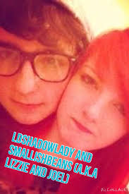 What kind of pet would you like to have? Ldshadowlady And Smallishbeans A K A Lizzie And Joel Meeting In Minecraft Wattpad