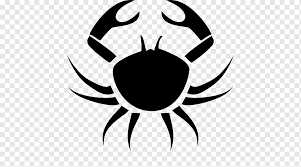 Learn about what cancer zodiac sign means and how it affects your life. Crab Cancer Astrological Sign Zodiac Crab Animals Symmetry Astrological Sign Png Pngwing