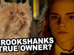 17 Harry Potter Memes That Will Make You Laugh 8 Bit Nerds Harry Potter Theories Harry Potter Memes Crookshanks