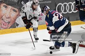 18 Vincent Hessler Stock Photos, High-Res Pictures, and Images