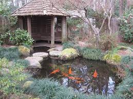 U S Botanical Gardens Botanical Gardens Japanese Garden Botanical