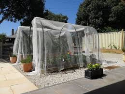 We lovingly planted half a dozen tomato plants and carefully cared for a handful of cucumber, melon, squash and pepper plants, eagerly anticipating a summer. Fruit Tree Cage Installation And Vegetable Garden Hoop Houses
