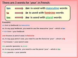 French Possessive Adjectives
