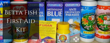 Betta Fish First Aid Kit Betta Fish Tank Betta Betta Fish