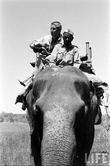 Tiger Hunting Photographs of India - 1965 (Part-1) - Old Indian Photos