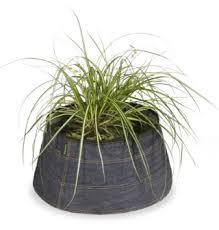 You'll need a watertight container, a fountain pump, some concrete pavers for the edging, rocks and your water plants. Mini Pond Or Mini Pond Suitable For The Smallest Garden Velda