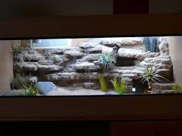 Desert Landscape My First Rock Background Captivebred Reptile Forums Reptile Classified Forum Bearded Dragon Habitat Reptile Terrarium Bearded Dragon
