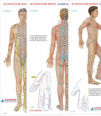 Buy Acupuncture Points Chart Meridians Set Of 3 Book