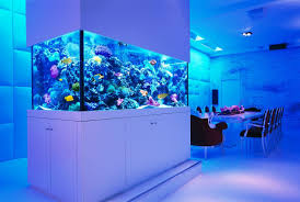 Aquarium Decorating Ideas 2014 Aquarien Aquarium Aquarium Raumteiler