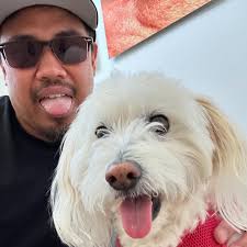 Eddie Petil (@eddiepetil) • Instagram photos and videos