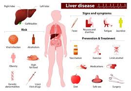 It also emphasizes the importance of increased protein intake and decreased sodium intake, and provides recomm\ endations for achieving both. Indian Diet Plan For Liver Cirrhosis Stage 1 2 3 And 4 What To Eat And Avoid Dietburrp