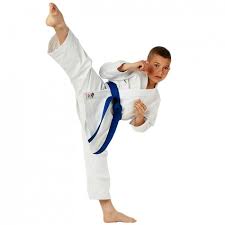 International Seishin Jr Karate Gi