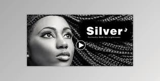 Download Seim Silvereffects 3 for Adobe Photoshop