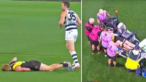Our physiotherapists have extensive experience that stems from over 20. Afl Grand Final Nick Vlastuin Injured After Patrick Dangerfield Elbow Richmond Tigers V Geelong Cats