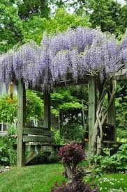 Voici Nos Exemples Pour Un Banc De Jardin Jardins Banc Jardin Et Idees Jardin