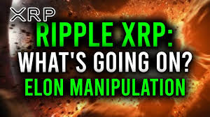 But ripple thrives on something else. 6533 K Wbabxfm