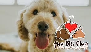 Look at pictures of puppies in georgia who need a home. Humane Society Of South Coastal Georgia Dedicated To Promoting The Compassionate Treatment Of Animals In Our Community Through Adoption Public Spay Neuter Services Sheltering And Education