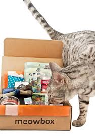 Meowbox Is A Monthly Cat Subscription Box Filled With Fun Unique Toys And Healthy Goodies Treat Your C Pet Subscription Box Cat Subscription Box Cool Cat Toys