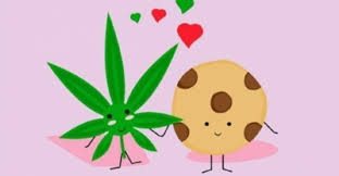Comment Preparer Les Meilleurs Space Cakes La Recette Au Cannabis Rqs Blog