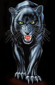 Black Panther Tiger Artwork Panther Art Big Cats Art