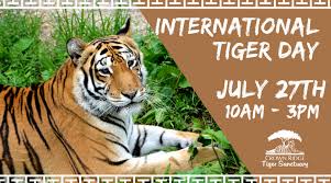 29th july is referred to as the global tiger day also every year. International Tiger Day 2019 Crown Ridge Tiger Sanctuary