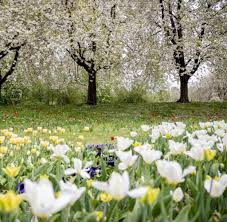 Der britzer garten ist ein beliebtes ausflugsziel bei den berlinern. Britzer Garten Soll Moderner Werden Welt