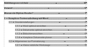 Inhaltsverzeichnisse können automatisch aufgebaut, aktualisiert und angepasst werden. Inhaltsverzeichnis Diplom Reader Holger Matthes