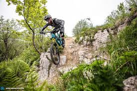 pin on shred