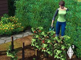 Gardening The Sims 3 The Sims Wiki
