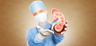 Image result for images Diabetic nephropathy