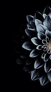 Pin By Heather Grunauer On Blue Wallpaper Tumblr Lockscreen Flower Lockscreen Dark Flowers