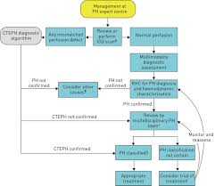 Diagnosis Of Pulmonary Hypertension European Respiratory