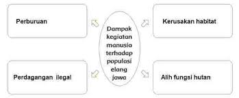 Check spelling or type a new query. Kunci Jawaban Tema 9 Kelas 4 Halaman 37 38 39 40 41 42 43 44 45 46 47 Subtema 1 Pembelajaran 6 Halaman All Tribun Pontianak